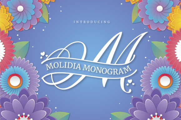 Elevate Your Web Design with Molidia Monogram Font