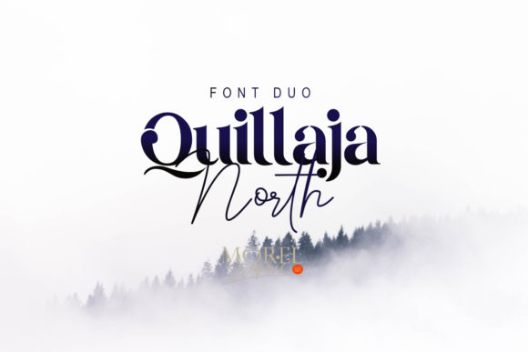 Transform Your Brand with Quillaja North Font